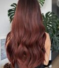 dark red wig dua lipa mid length 11